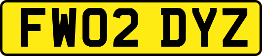FW02DYZ