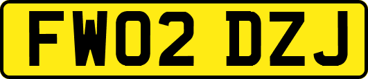 FW02DZJ