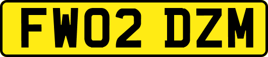 FW02DZM