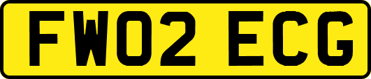 FW02ECG
