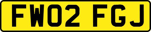 FW02FGJ