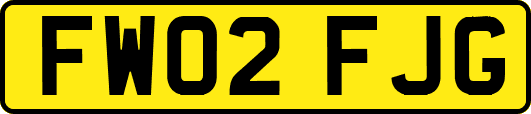 FW02FJG