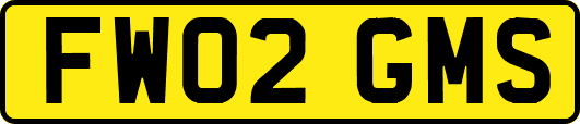 FW02GMS