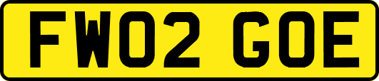 FW02GOE