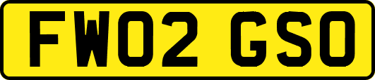 FW02GSO