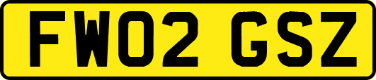 FW02GSZ