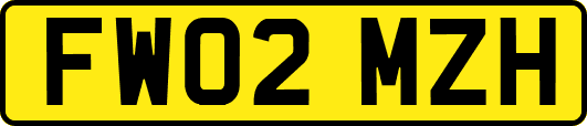 FW02MZH