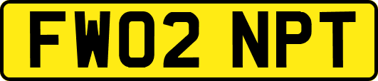 FW02NPT