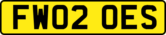 FW02OES