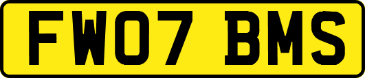 FW07BMS