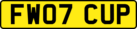 FW07CUP