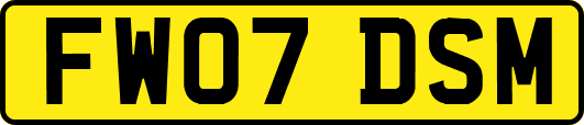 FW07DSM