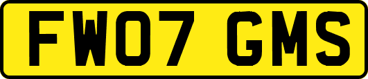 FW07GMS