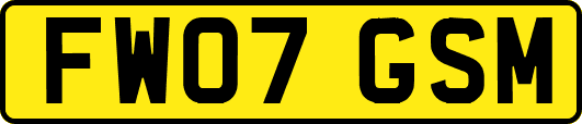 FW07GSM