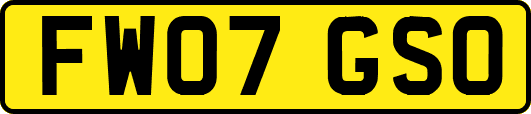 FW07GSO
