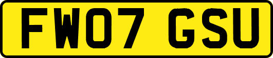 FW07GSU