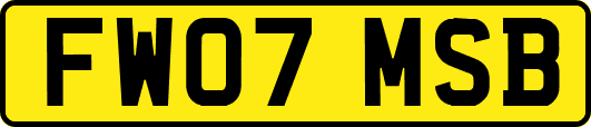FW07MSB