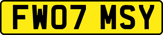 FW07MSY