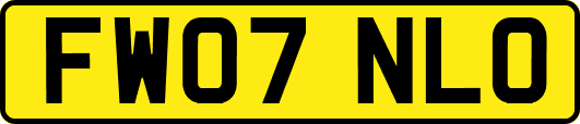 FW07NLO