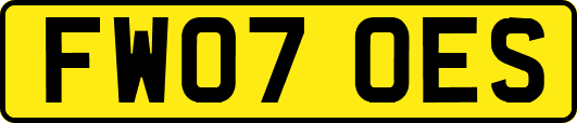 FW07OES