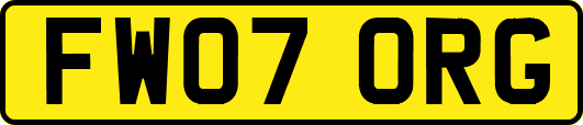 FW07ORG