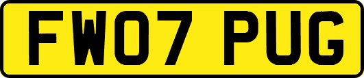 FW07PUG