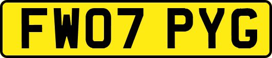 FW07PYG