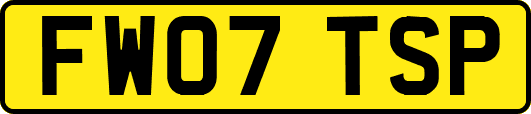 FW07TSP