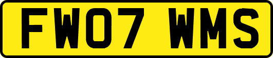 FW07WMS