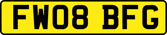 FW08BFG