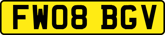 FW08BGV