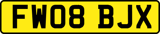 FW08BJX