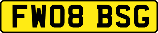 FW08BSG