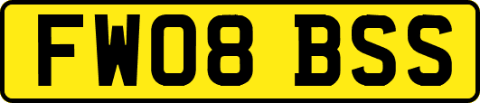 FW08BSS