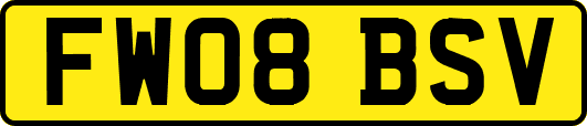 FW08BSV