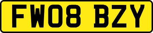 FW08BZY