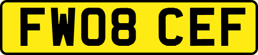 FW08CEF