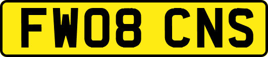 FW08CNS