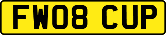 FW08CUP