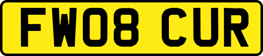 FW08CUR