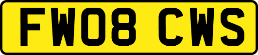 FW08CWS