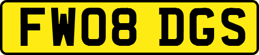 FW08DGS