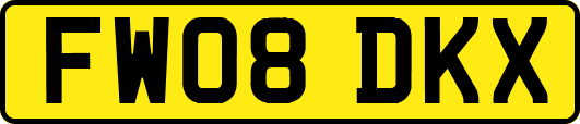 FW08DKX