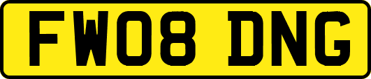 FW08DNG