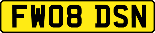 FW08DSN