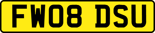 FW08DSU