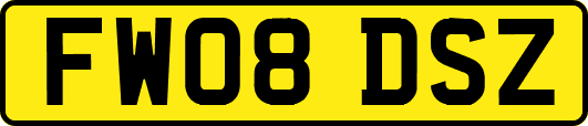 FW08DSZ