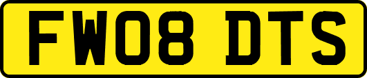 FW08DTS