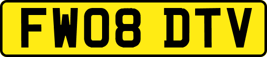 FW08DTV