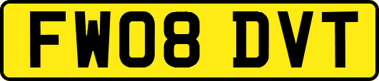 FW08DVT